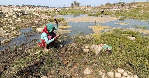 Livelihood vulnerability and adaptation strategies of coastal areas