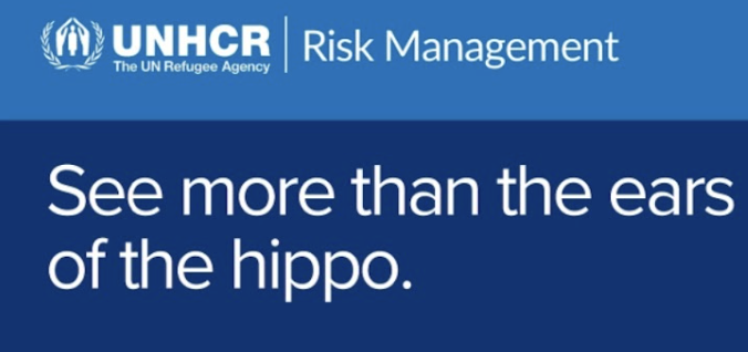 The Risky Bites: Enterprise Risk Management Services